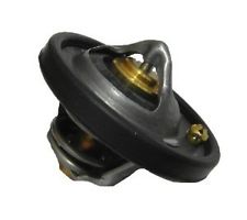 Ford Focus Thermostat